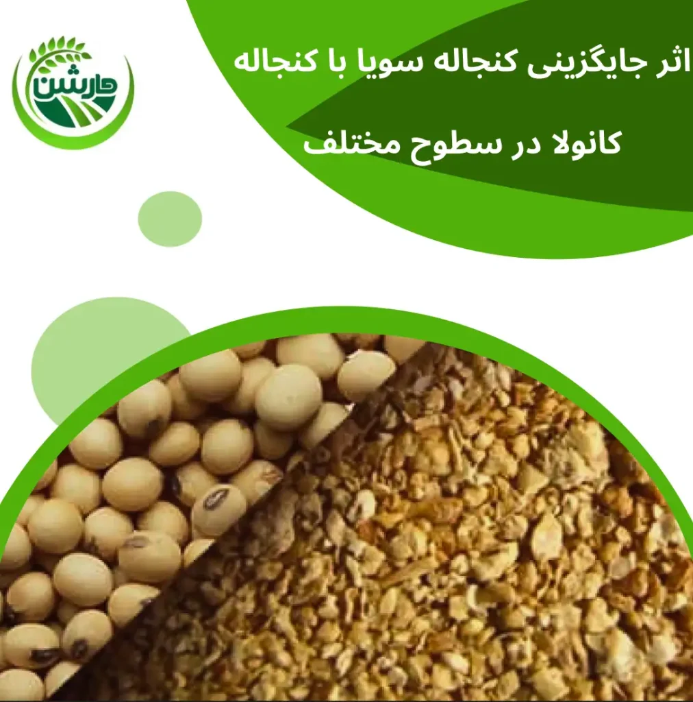 اثر جایگزینی کنجاله سویا با دانه سویای خام اکسترود شده و برشته شده