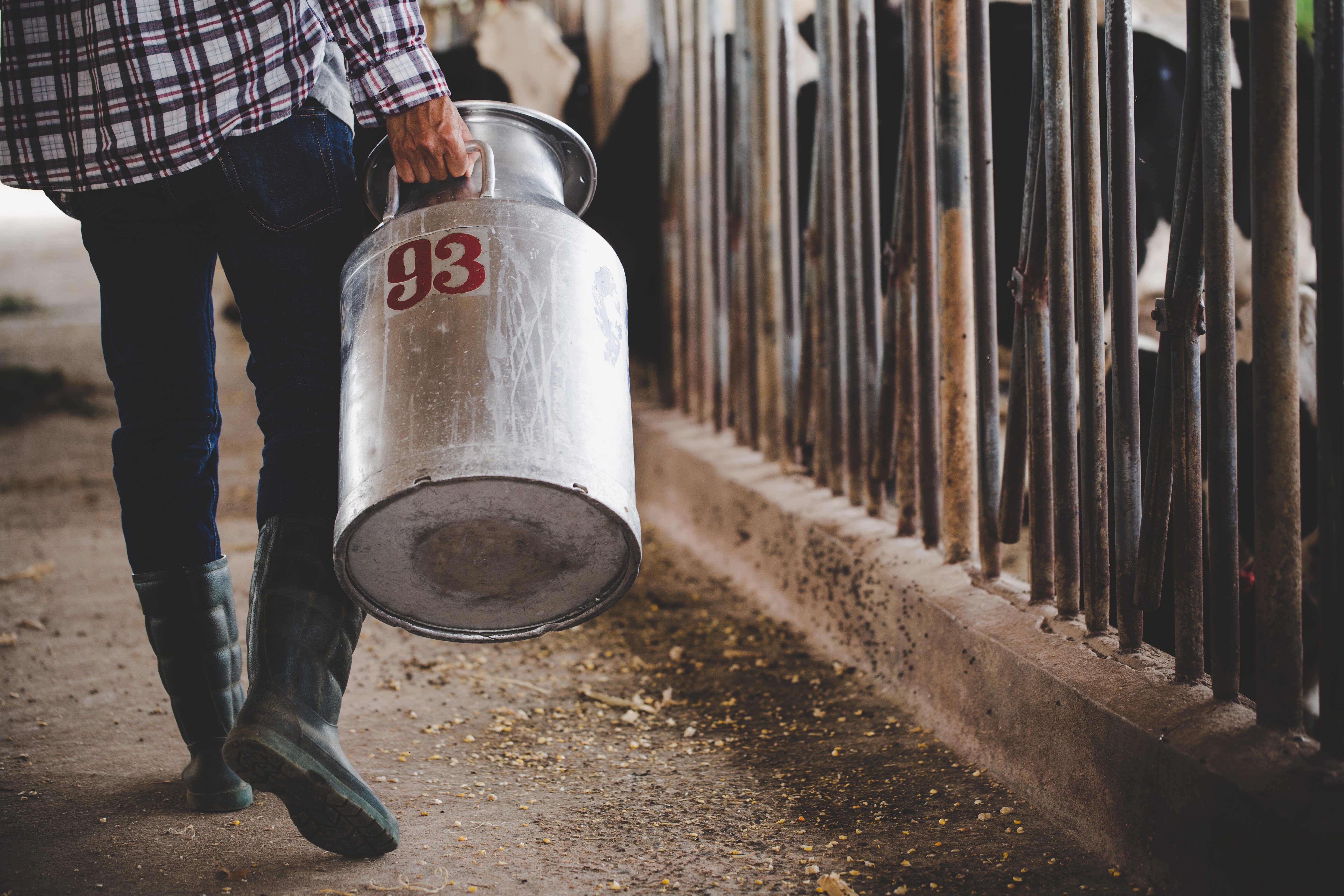 شاخص‌های کیفیت و آنالیز کنسانتره